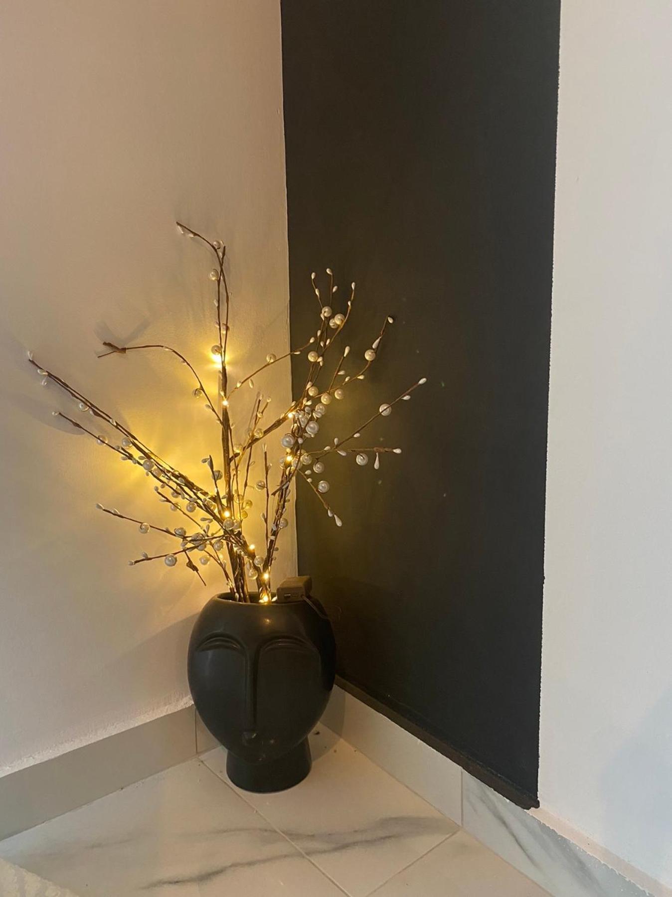 Arletos Home Ioannina Bagian luar foto